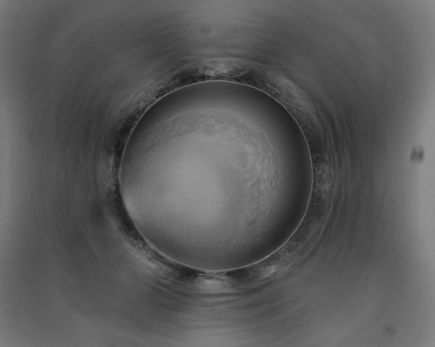 X0000091580510200708201210