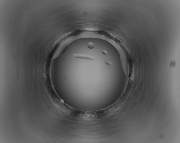 X0000091580512200708201210
