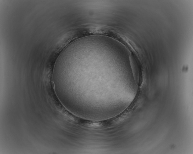 X0000091580513200708201210