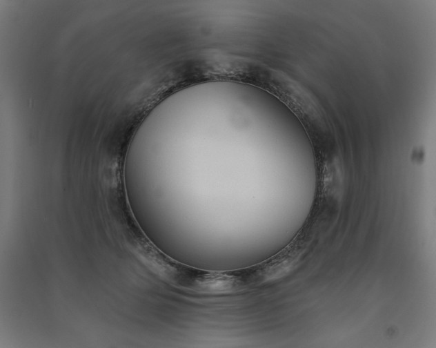 X0000091580514200708201210