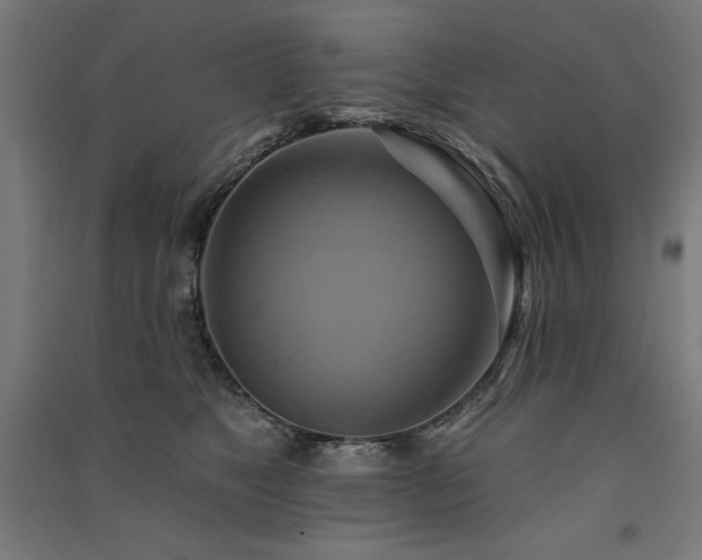 X0000091580517200708201210