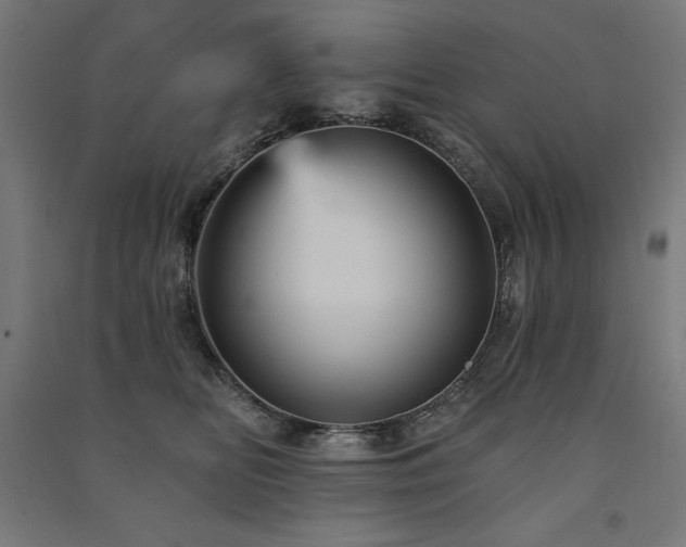 X0000091580518200708201210