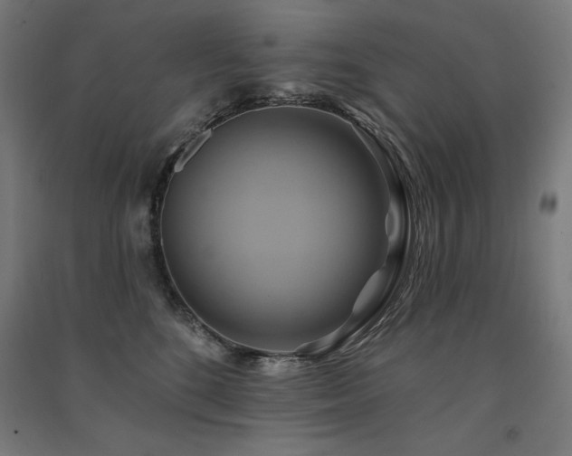 X0000091580520200708201210
