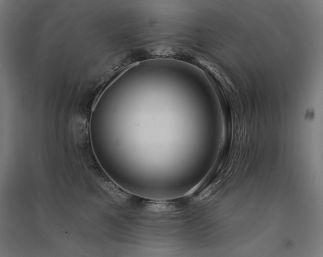 X0000091580521200708201210