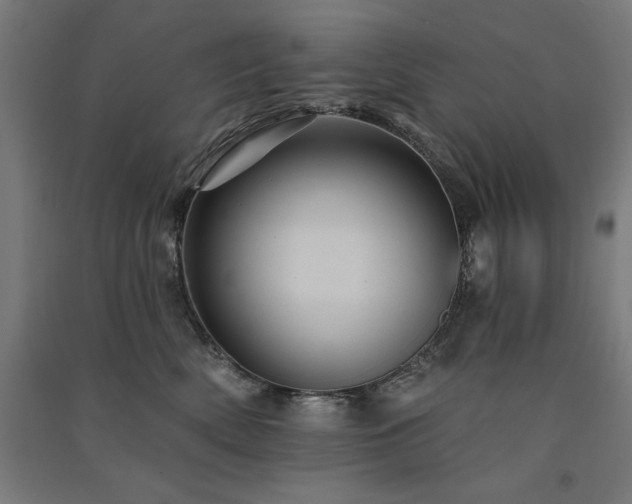 X0000091580522200708201210