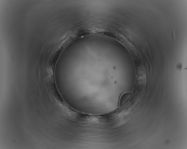 X0000091580523200708201210