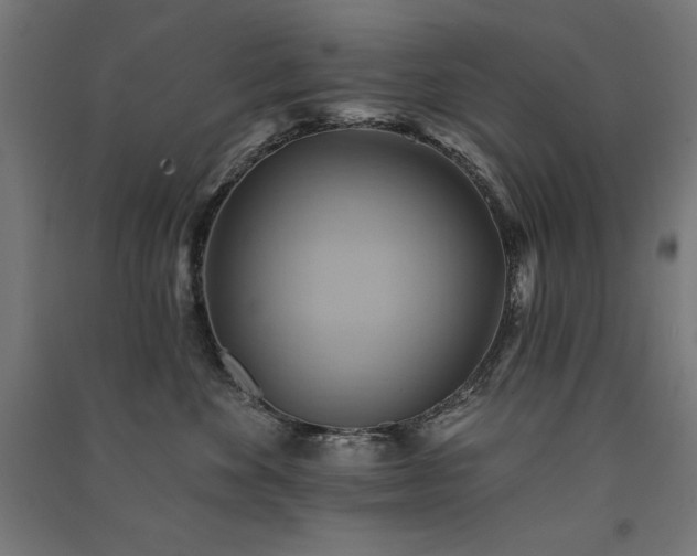 X0000091580524200708201210