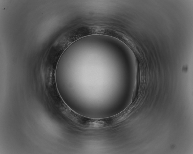 X0000091580525200708201210