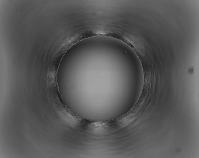 X0000091580526200708201210
