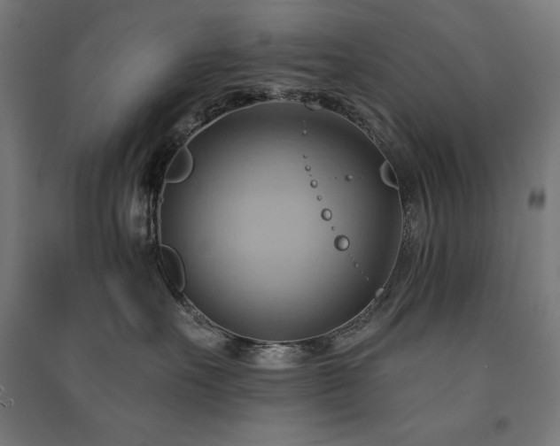 X0000091580527200708201210