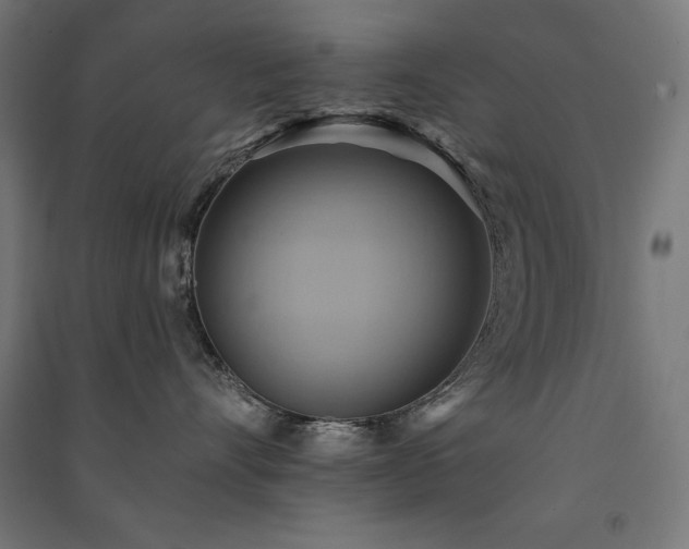 X0000091580528200708201210