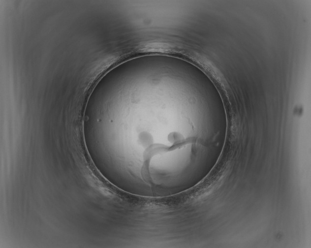 X0000091580529200708201210