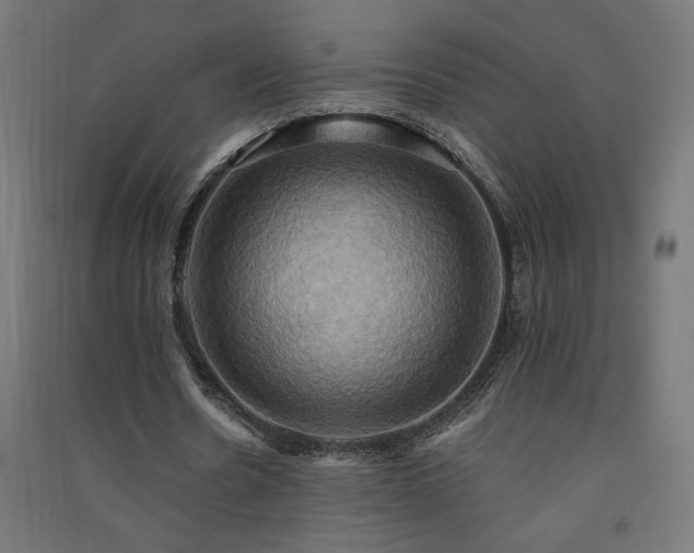 X0000091580530200708201210