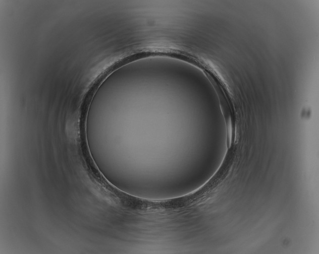 X0000091580531200708201210