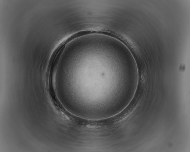 X0000091580532200708201210