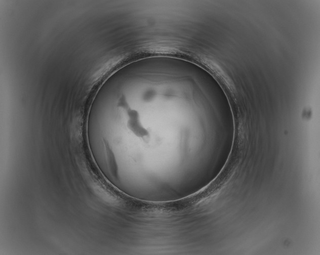 X0000091580533200708201210