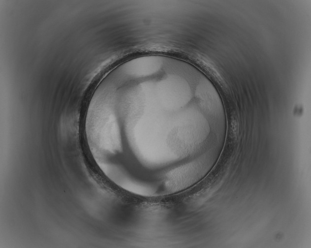 X0000091580534200708201210
