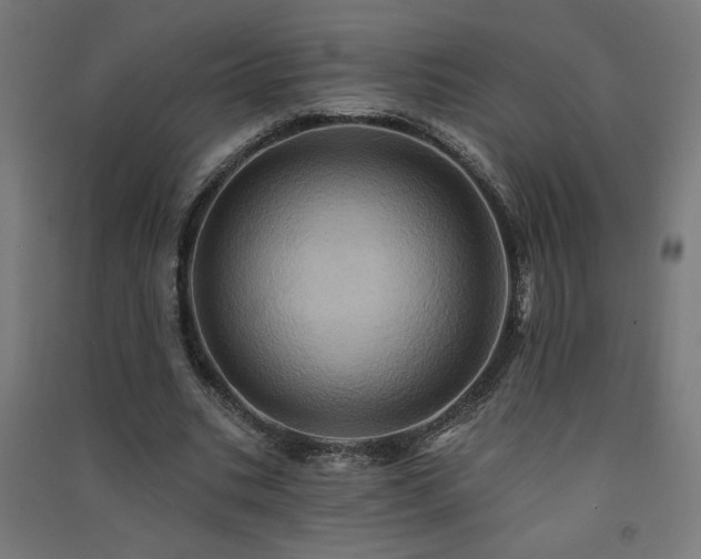 X0000091580535200708201210