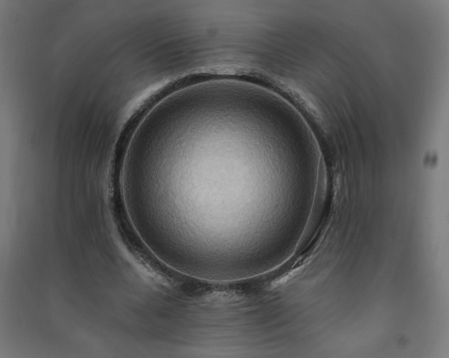 X0000091580536200708201210