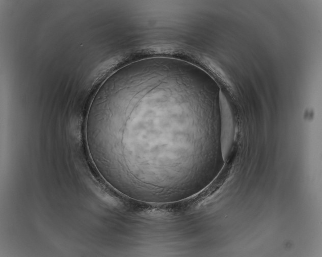 X0000091580537200708201210