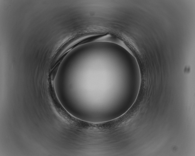 X0000091580538200708201210