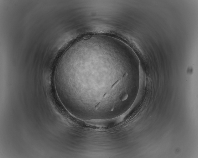 X0000091580539200708201210