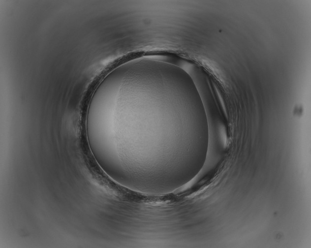X0000091580540200708201210