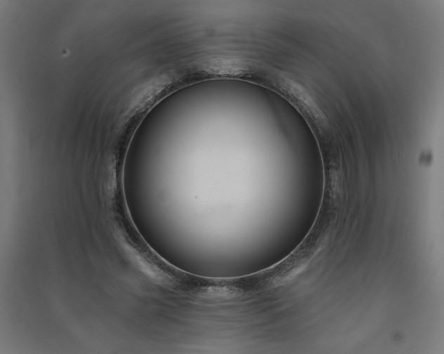 X0000091580541200708201210