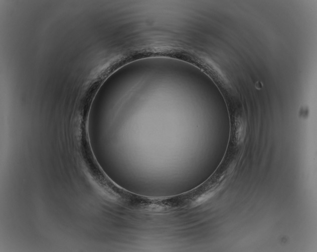 X0000091580542200708201210