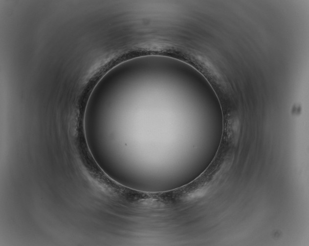 X0000091580544200708201210