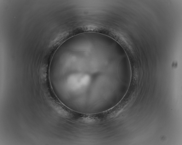 X0000091580545200708201210