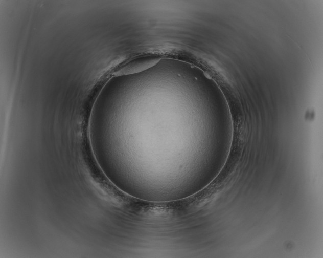 X0000091580546200708201210