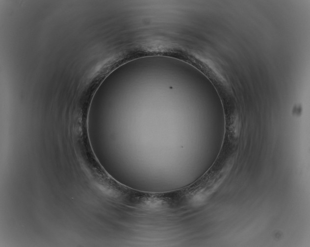 X0000091580547200708201210