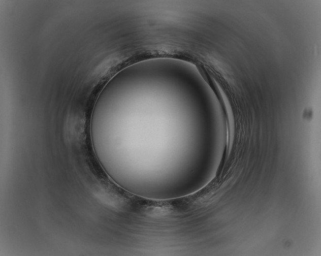 X0000091580548200708201210