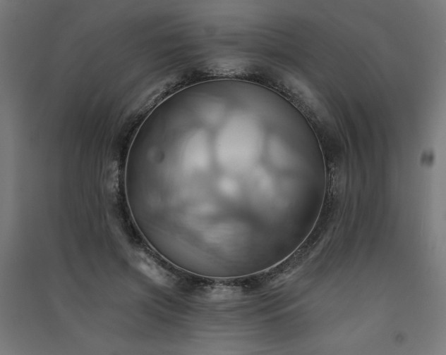 X0000091580549200708201210
