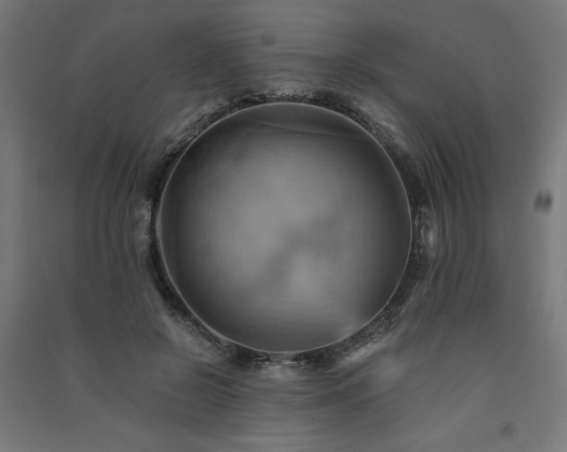 X0000091580550200708201210