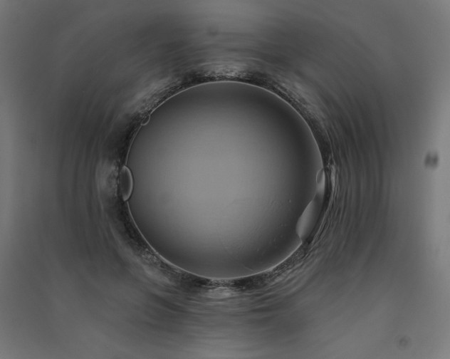 X0000091580551200708201210