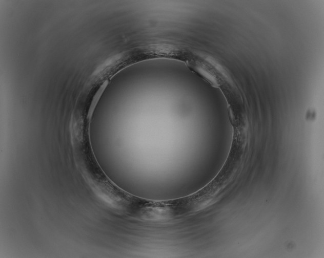 X0000091580552200708201210