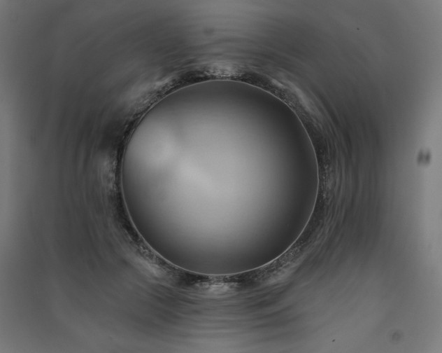 X0000091580553200708201210