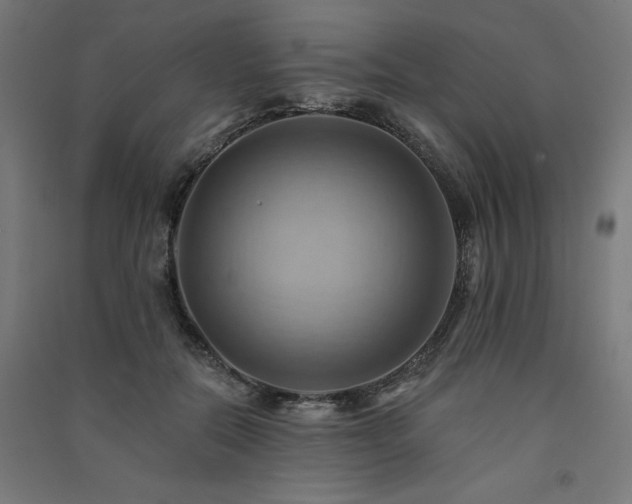 X0000091580554200708201210