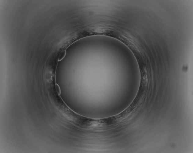 X0000091580555200708201210