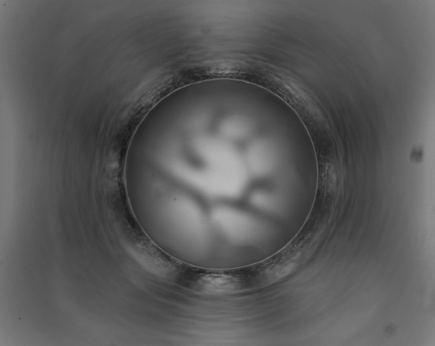 X0000091580557200708201210
