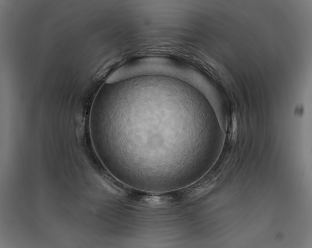 X0000091580558200708201210
