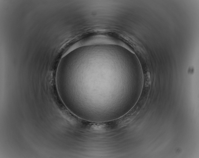 X0000091580560200708201210