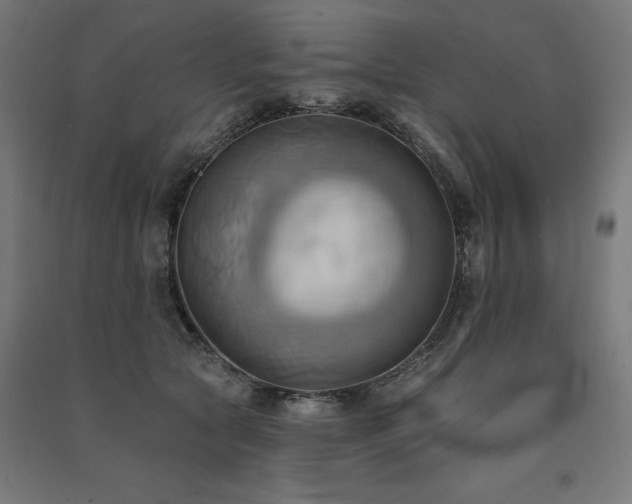 X0000091580561200708201210