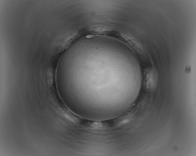 X0000091580562200708201210