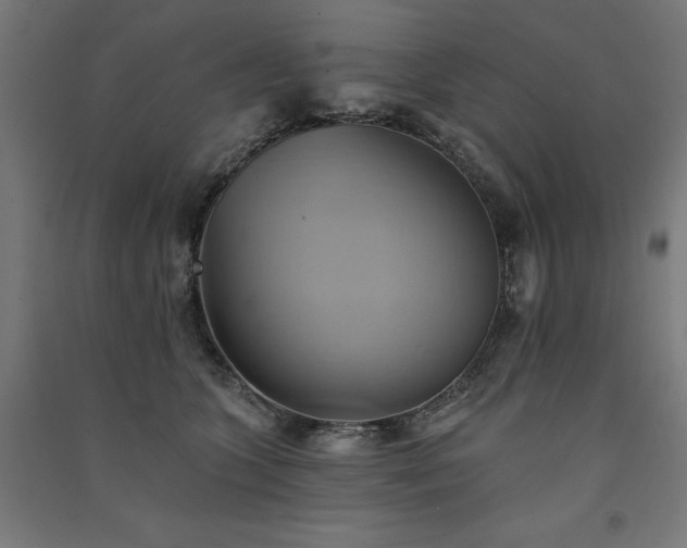 X0000091580563200708201210