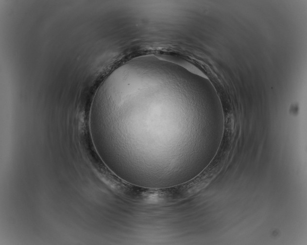 X0000091580564200708201210