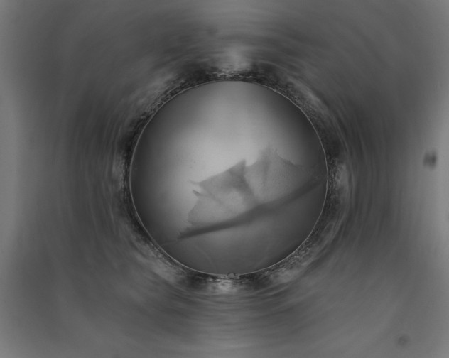 X0000091580565200708201210