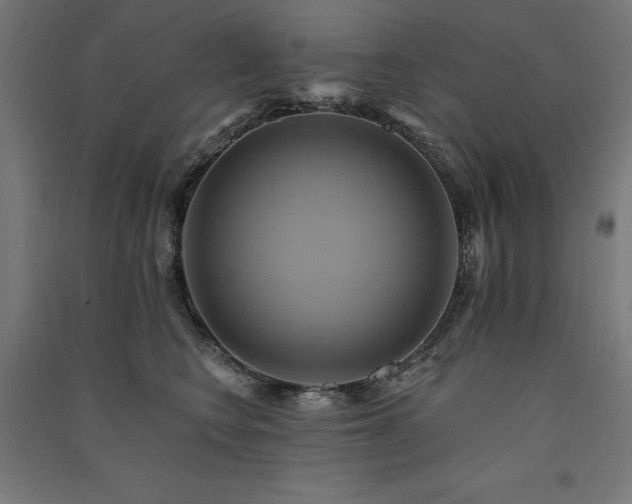 X0000091580566200708201210